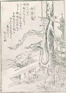 Shiro-Uneri (Image: National Diet Library Digital Collections)