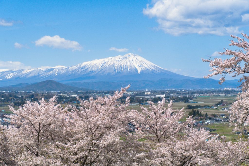 岩手山と桜